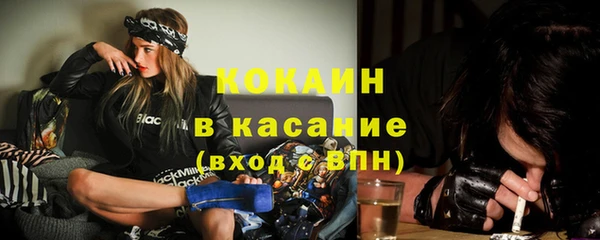 стаф Кодинск