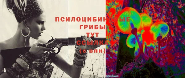 стаф Кодинск