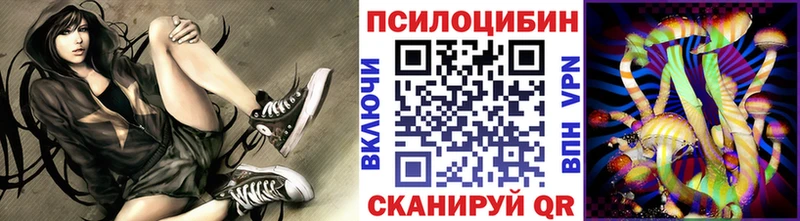 omg   Макарьев  Псилоцибиновые грибы прущие грибы 